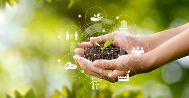 Nachhaltigkeitsregulatorik