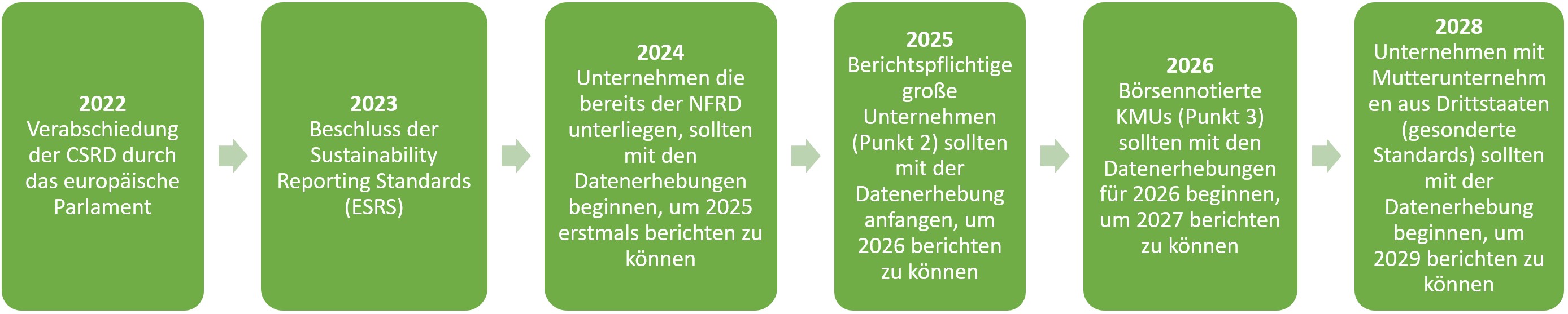 Darstellung der Berichtspflichten
