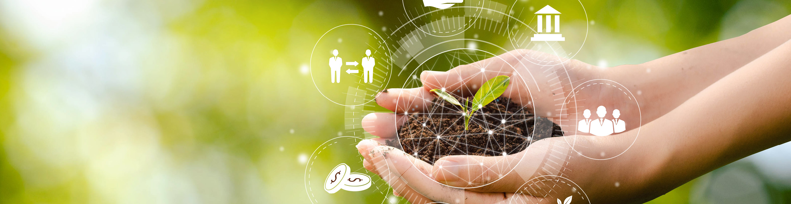 Nachhaltigkeitsregulatorik