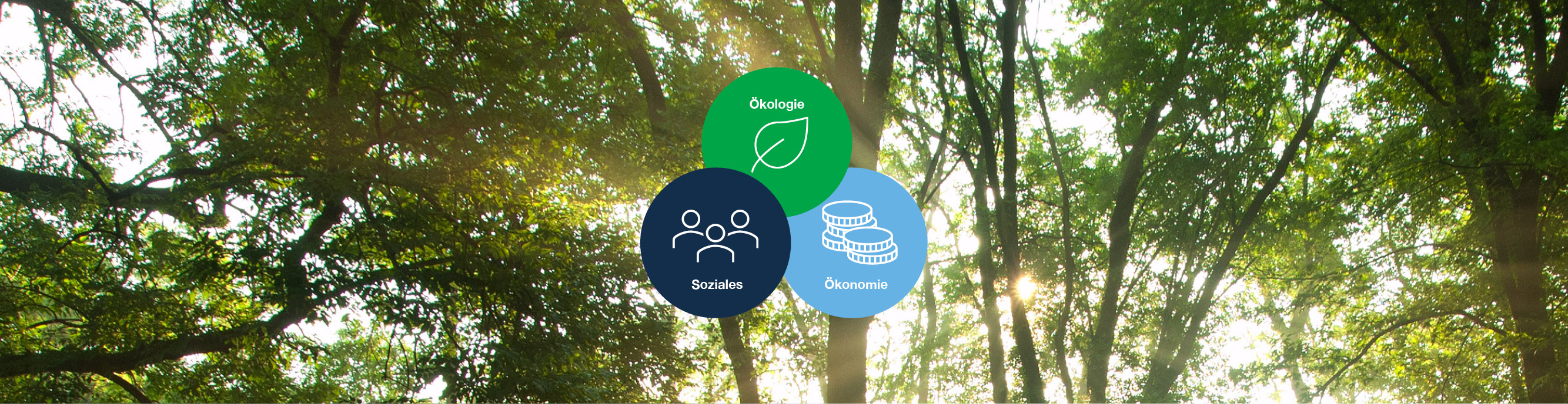 Strategie & Governance 